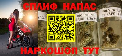гашик Партизанск