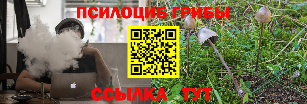 Галлюциногенные грибы Magic Shrooms  как найти   Сорочинск  Вход с VPN 